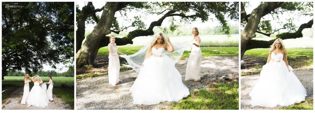 Amy and Casey at Oak Alley Plantation Wedding