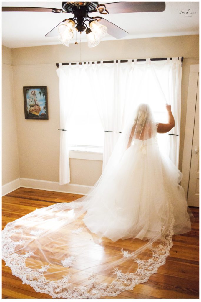 Oak Alley Plantation Wedding in Vacherie Louisiana