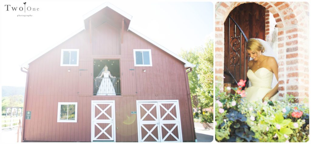 Casey and Isaac at Crooked Willow Farms Wedding