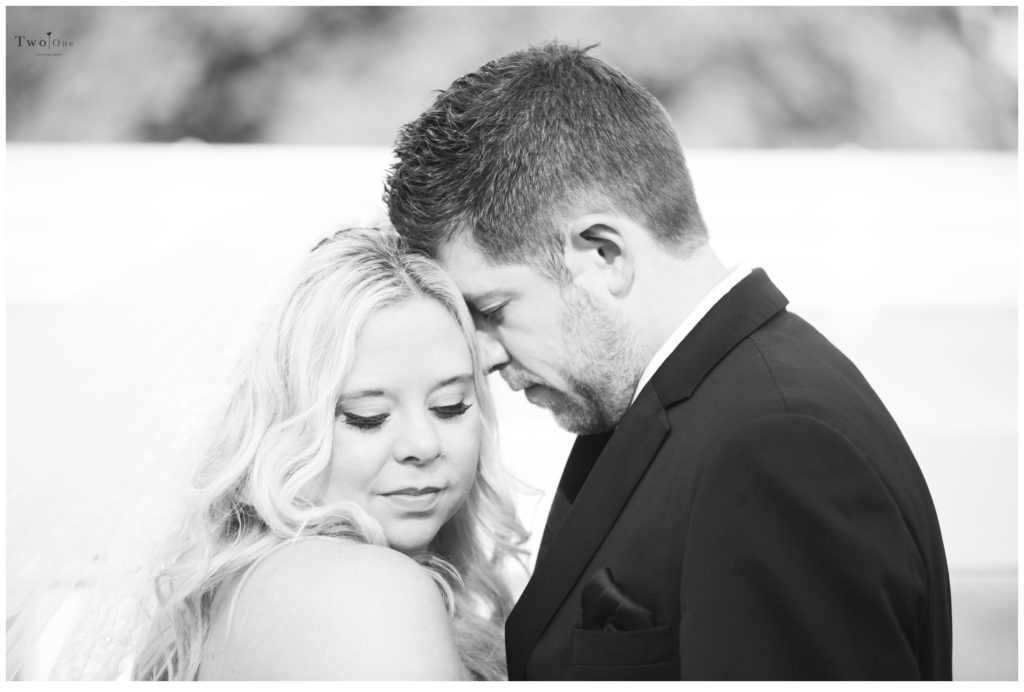 Oak Alley Plantation Wedding by Two One Photography