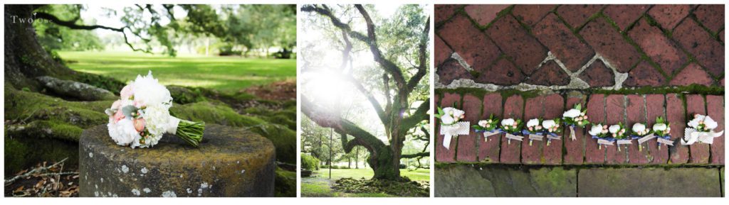 Oak Alley Plantation Wedding, Vacherie Louisiana