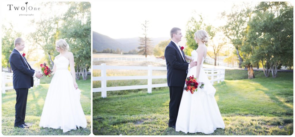 Crooked Willow Farms Wedding, Larkspur Colorado