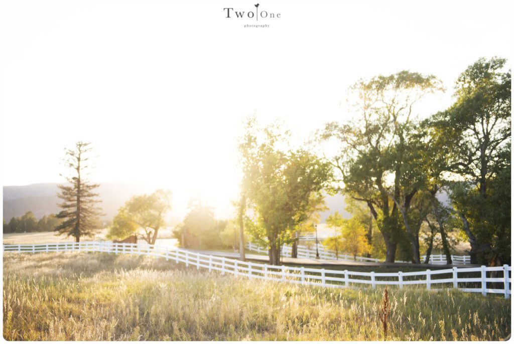 Crooked Willow Farms Wedding in Larkspur Colorado