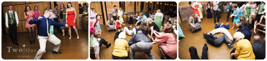 Crooked Willow Farms Wedding by Two One Photography