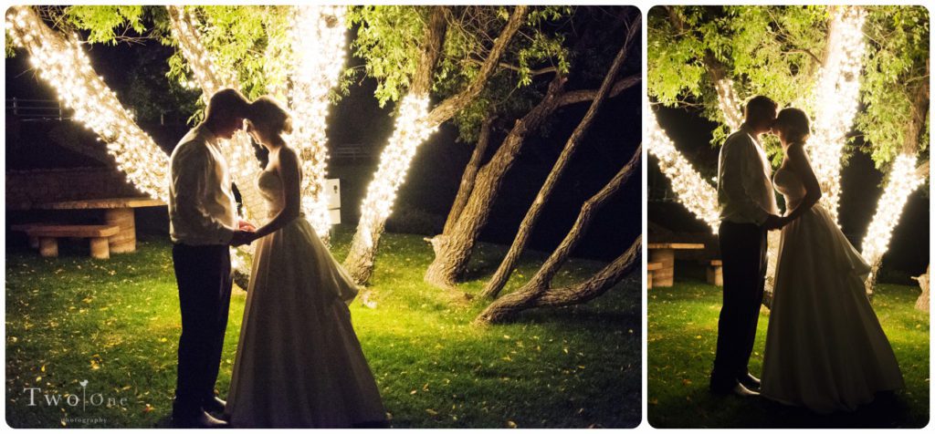 Crooked Willow Farms Wedding by Two One Photography