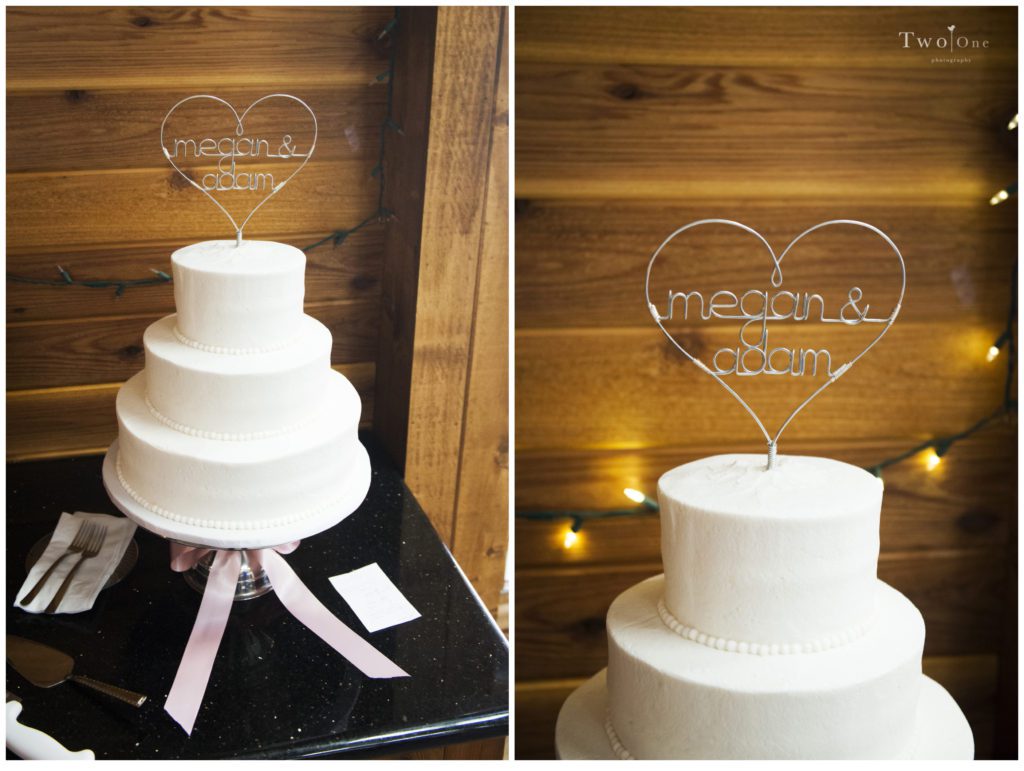 Lower Lake Ranch Wedding in Pine Colorado
